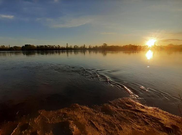 Bardas Del Limay Dormi-Con Hidromasaje - Totalmente Equipado 普洛缇尔 外观 照片