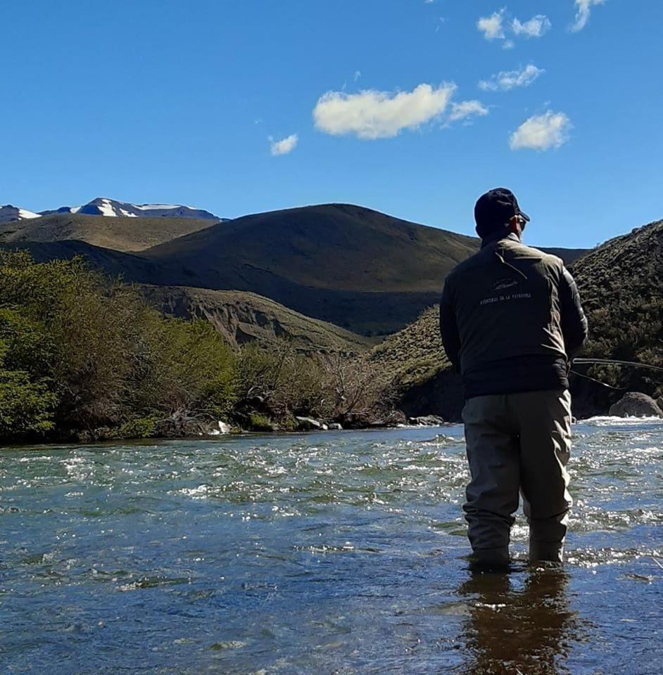 Bardas Del Limay Dormi-Con Hidromasaje - Totalmente Equipado 普洛缇尔 外观 照片